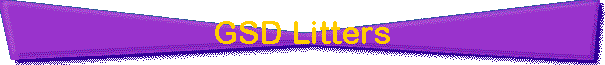 GSD Litters